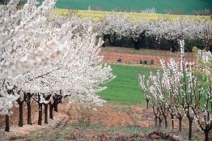 Könyvajánló a vegyszermentes növényvédelem szemléletében
