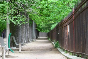 Ültess növényeket, és betörik a fejed!