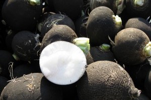 Mire jó a fekete retek (Raphanus sativus)? Betegségek ellen is hatásos lehet