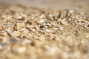 3 anyag, amivel tilos mulcsozni