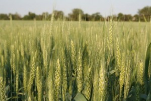 Új támogatókkal erősített idén az Élelmiszerlavina