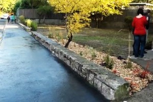 Virágzó Zugló 2011 - Uzsoki utca 57