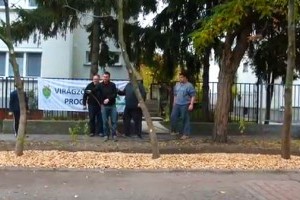 Virágzó Zugló 2011 Programja - Tihamér utca 21.