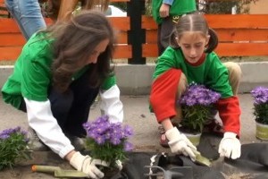 Virágzó Zugló 2011 - Zoborhegy tér 9.