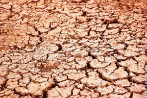 Ismét aszályos, forró nyár következhet