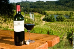 Quadris díjjal tüntették ki a legjobb hazai borokat