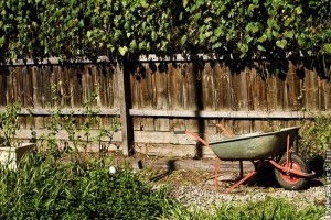 Hogyan kezdjük az elhanyagolt kertünk rendbetételét?