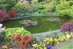 Tóépítésnél elkövetett súlyos hibák - itt a lista