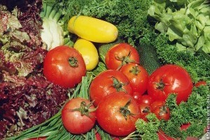 Mi az a vetésforgó?