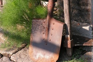 További munkák az elhanyagolt kertben