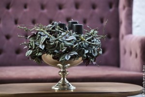 Könnyen nevelhető szobanövény: pletyka