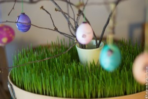 Feltámadási kertészkedési ötletek