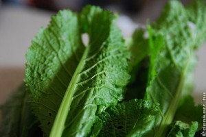 Nyár végéig vethető a kínai kel