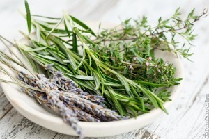 Fűszernövények az öngyógyító kertben