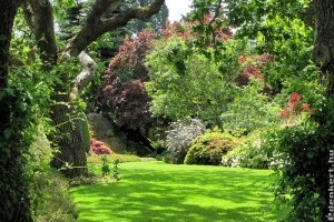 Zöldellő gyep, pompás virágágyások