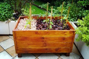 Készítsünk ládakertet a teraszra, most sincs késő!