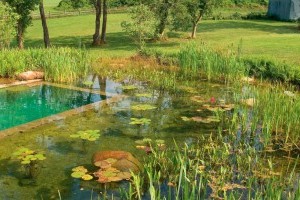 Fürdőtó kialakítása