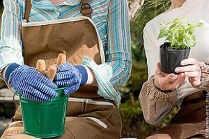 Izgalmas ötletek az erkélyen gyermekek és fiatal kertészek számára