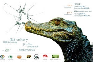 TerraPlaza Gigantea – A természet kincses szigete