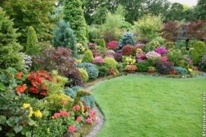 Előkert kialakítása, beültetése - tippek, ötletek