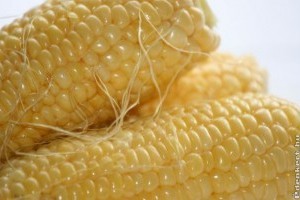 Mennyibe kerül a csemegekukorica?