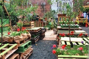 Gyümölcsfák ültetése