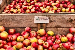 Mennyibe kerül az alma és a brokkoli?