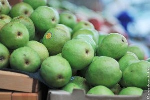Milyen a jó körte és miért egészséges a sóska?