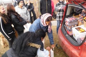 Élelmiszerlavina program