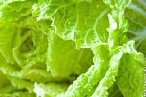 Jégsaláta és kínai kel