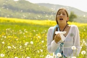 Szénanátha a polleneken túl