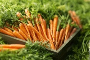 Miért sárga a sárgarépa?