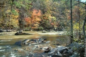 Édesvíz – legnagyobb kincsünk