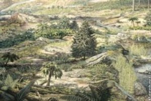 A véltnél százmillió évvel korábbról származnak az első virágos növények