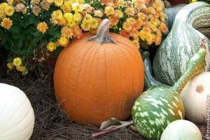 Októberi tökölős