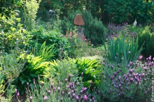 Nemzeti gyógynövény mintakert