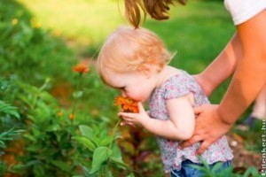 Kertészkedésre fel, zöldben lenni jó!
