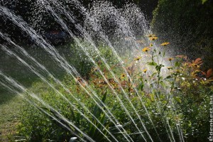 5+1 tipp a kertgurutól, hogyan locsoljunk kánikulában