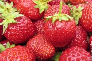 Piaci árak - 20. hét 2015.