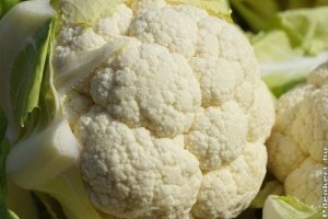 Piaci árak - 21. hét 2015.