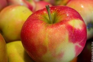 Piaci árak - 23. hét 2015.