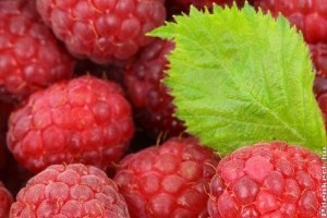 Piaci árak - 26. hét 2015.