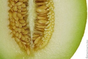 Piaci árak - 28. hét 2015.