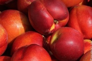 Piaci árak - 30. hét 2015.