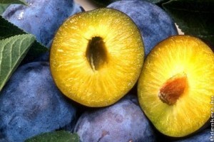 Piaci árak - 34. hét 2015.