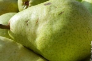 Piaci árak - 40. hét 2015.