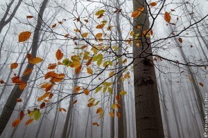 Újra ideje a D-vitamin pótlásának