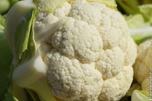 Piaci árak - 42. hét 2015.