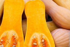 Piaci árak - 45. hét 2015.