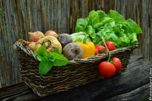 A magyar konyhakertek megművelése egyre dinamikusabban terjed